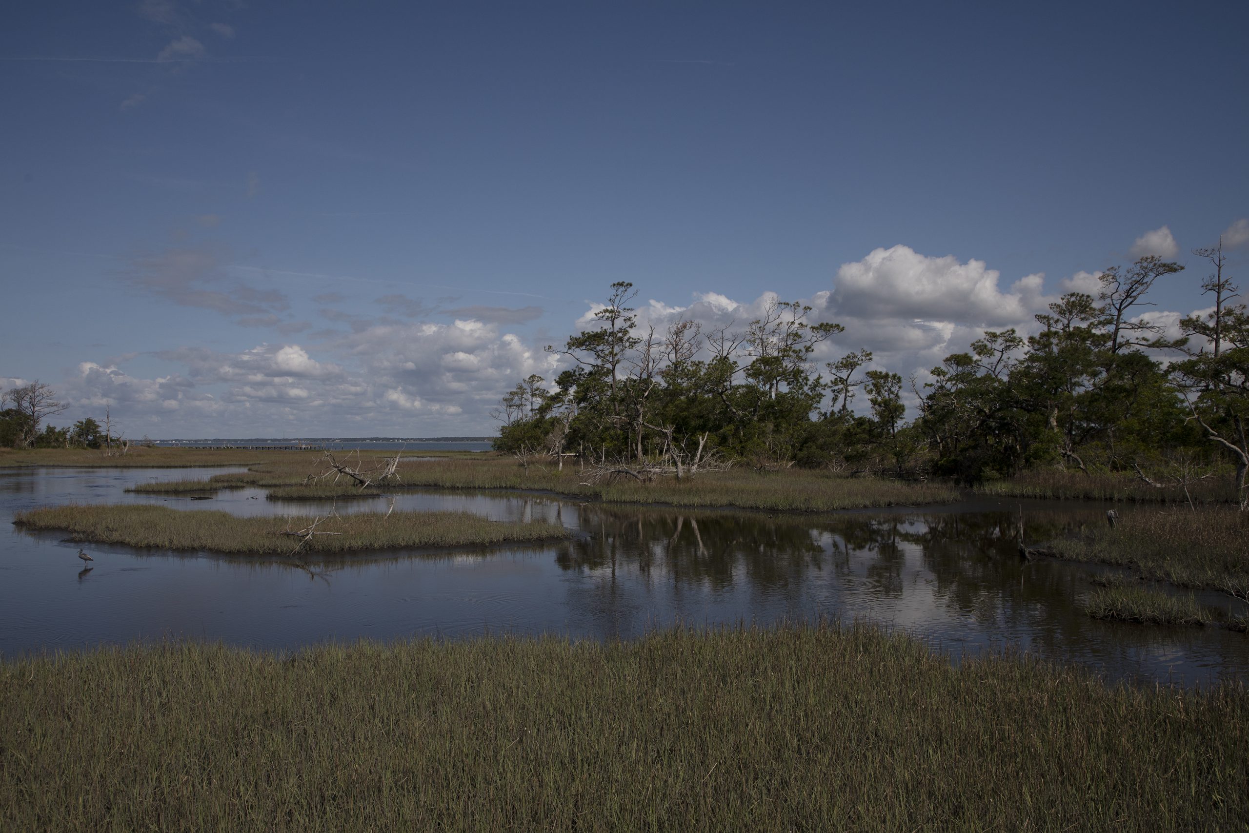 Health of Our State and Beyond Series: Coastal Resilience