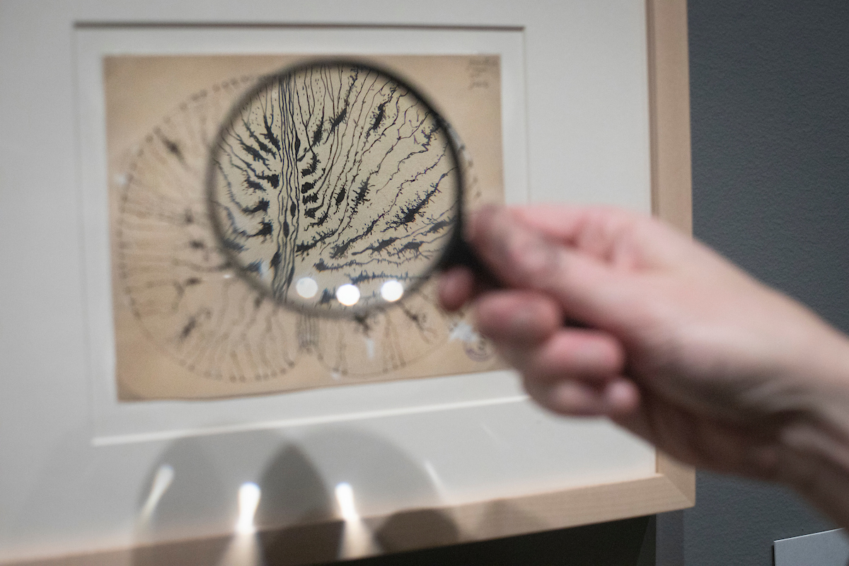 Photo of a Santiago Ramón y Cajal’s 1899 drawing of glial cells of a developing mouse spinal cord through a magnifying glass.