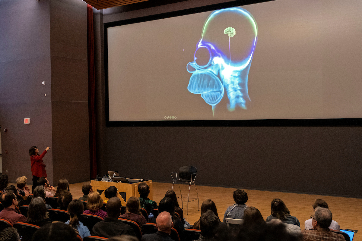 Students sit in a room while a parody CAT scan of Homer Simpson's brain is displayed on the projector.