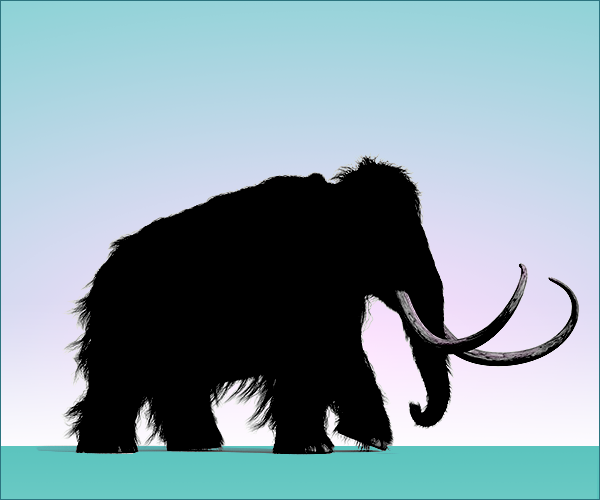 The silhouette of a Wooly Mammoth walks across a blue backdrop.