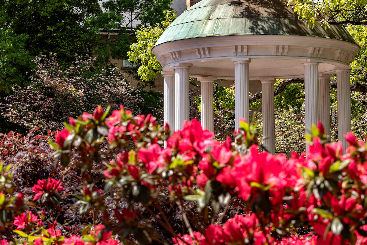 Image of the Old Well in spring with red flowers in front of it.