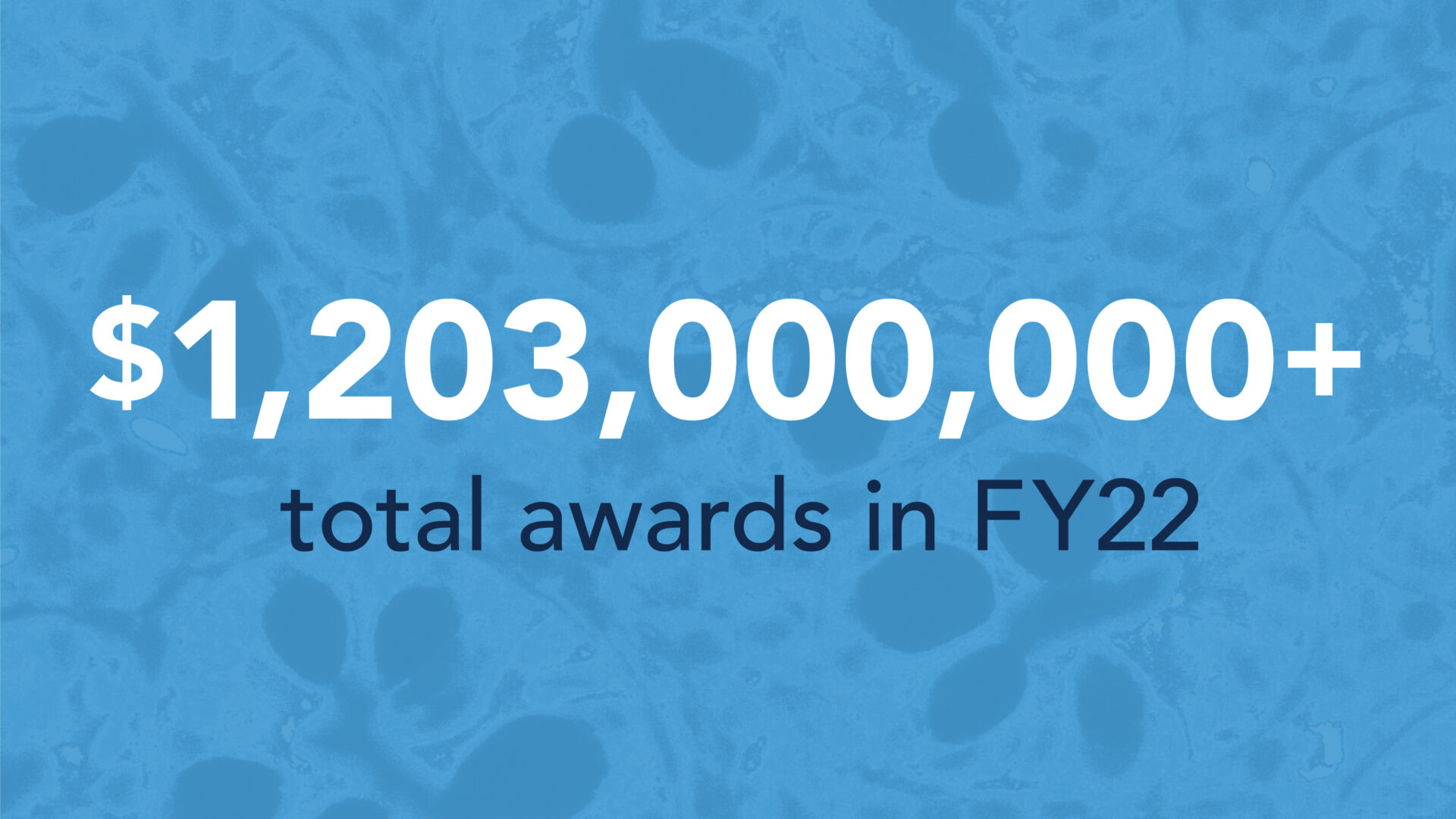 Graphic that stats: $1,2003,000,000 plus total awards in FY22.