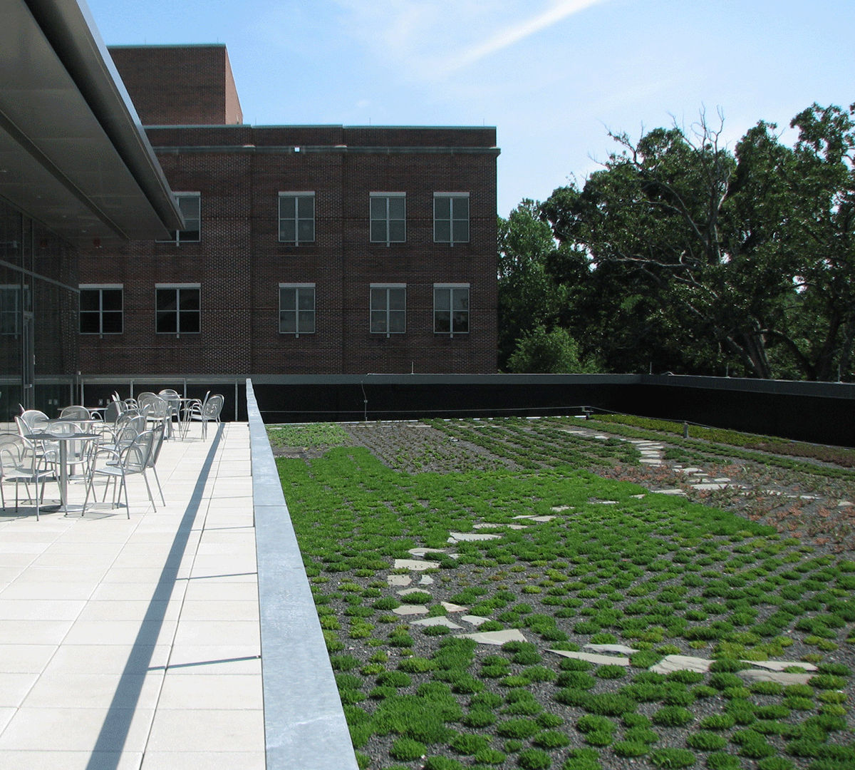 Image taken on top of one of the green roofs on campus. There is a paved patio with a grass area that has stepping stones.