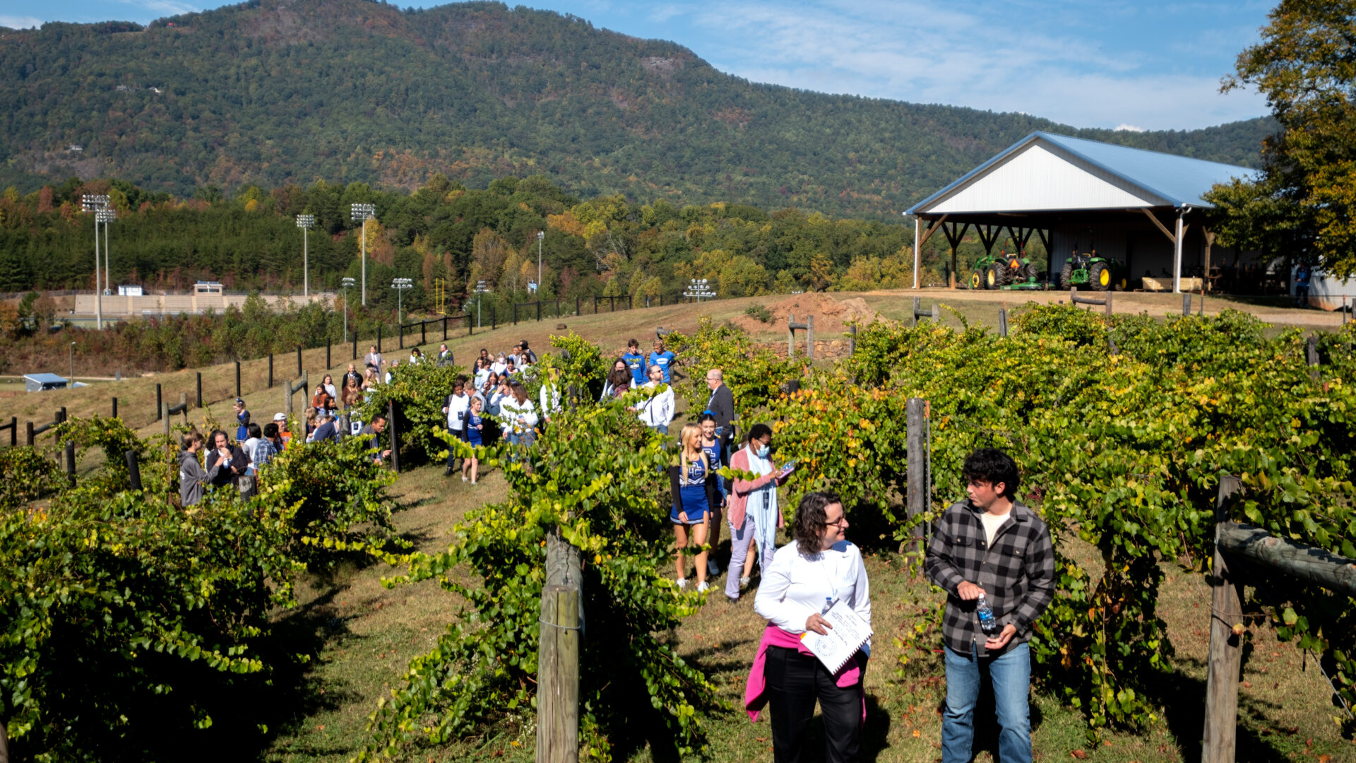 A group of people walk through a vineyard field in rural north carolina.