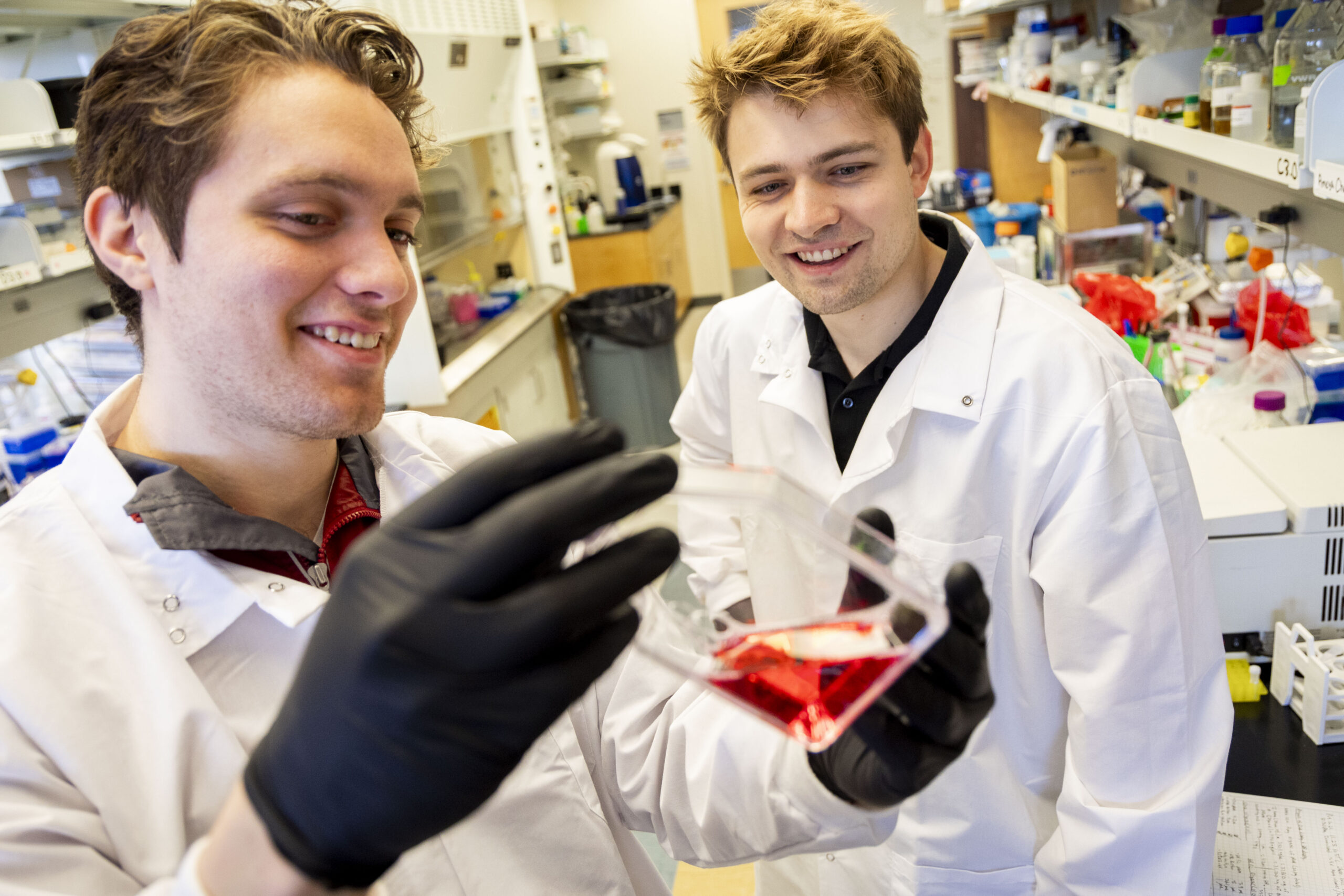 Let's Discuss: Starting Your Undergraduate Research Journey at Carolina