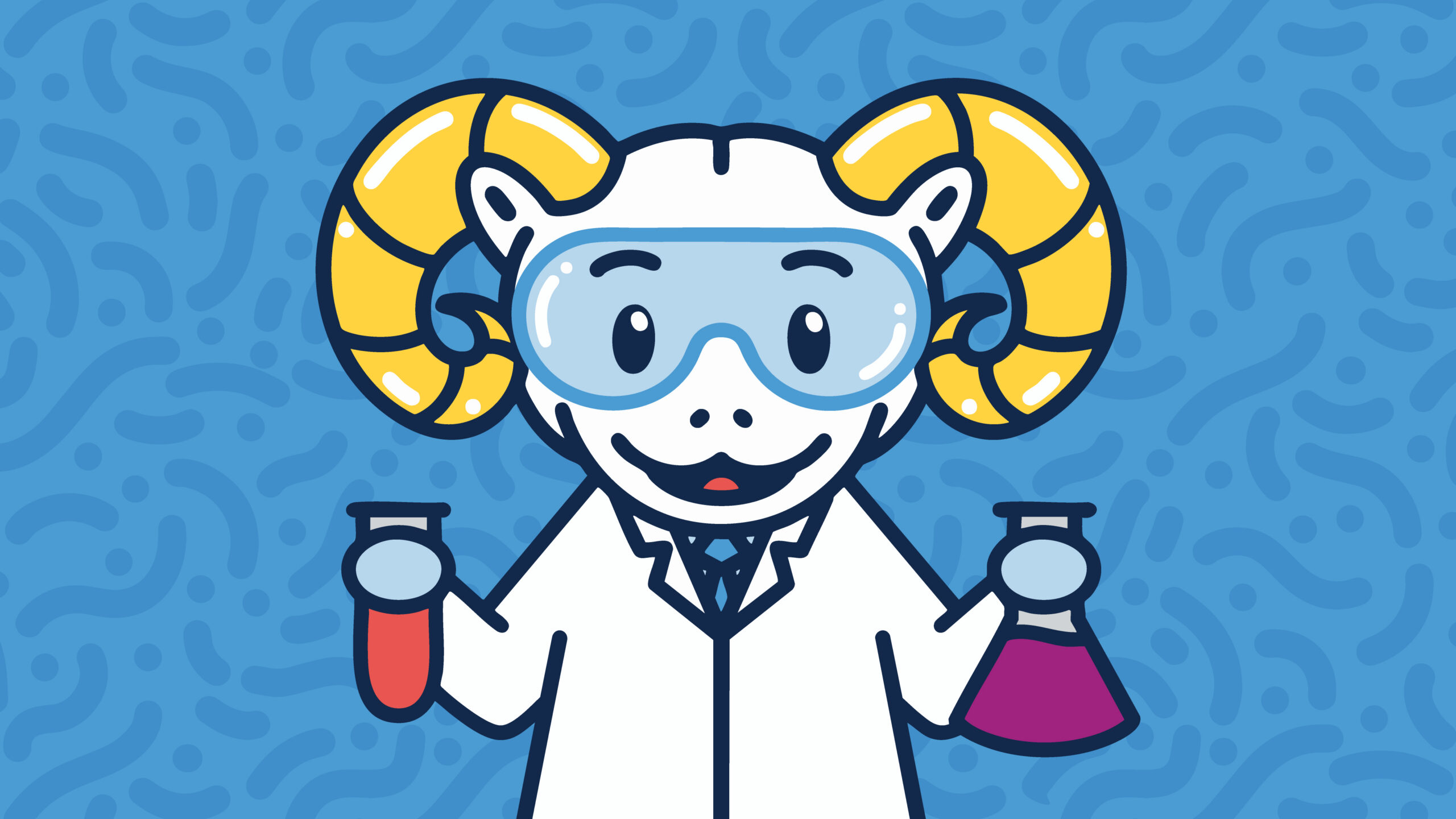 Research and Discovery Fair