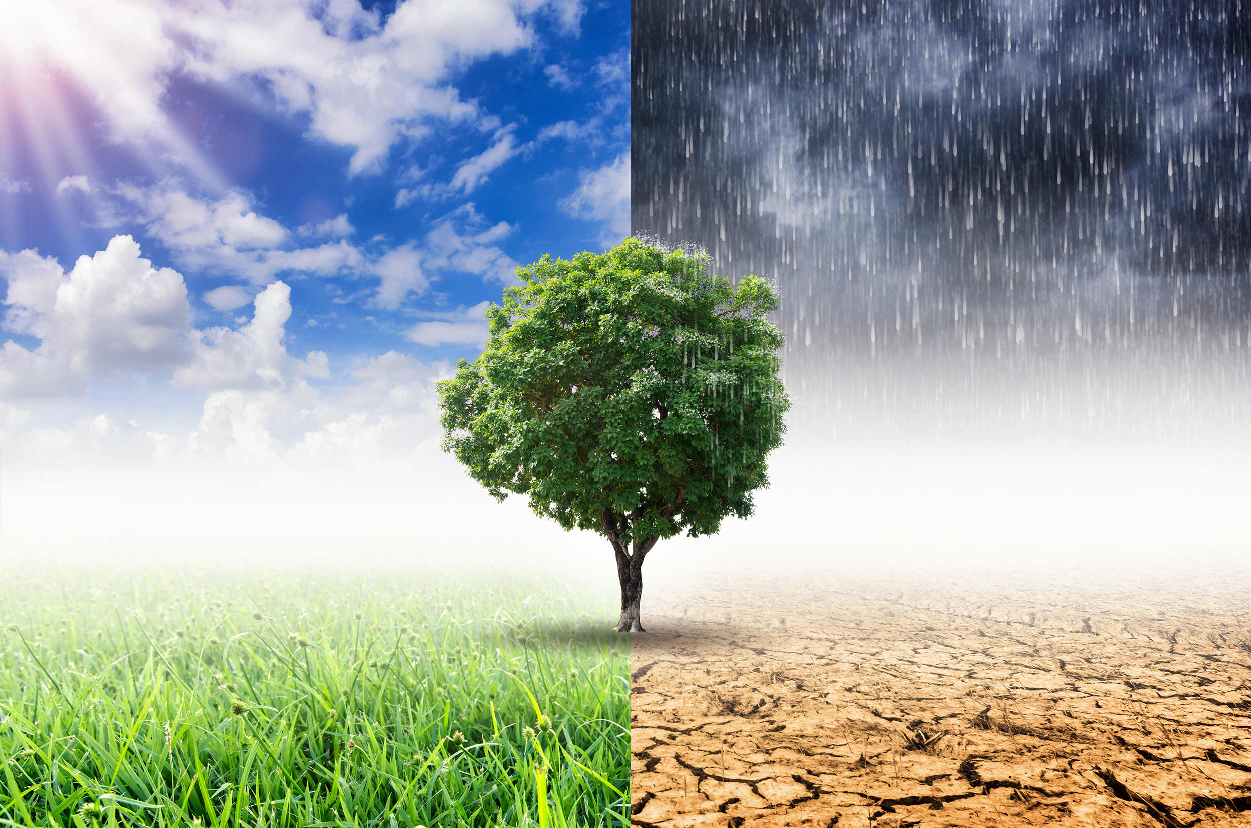 UNC Research Connections: Health & Extreme Weather