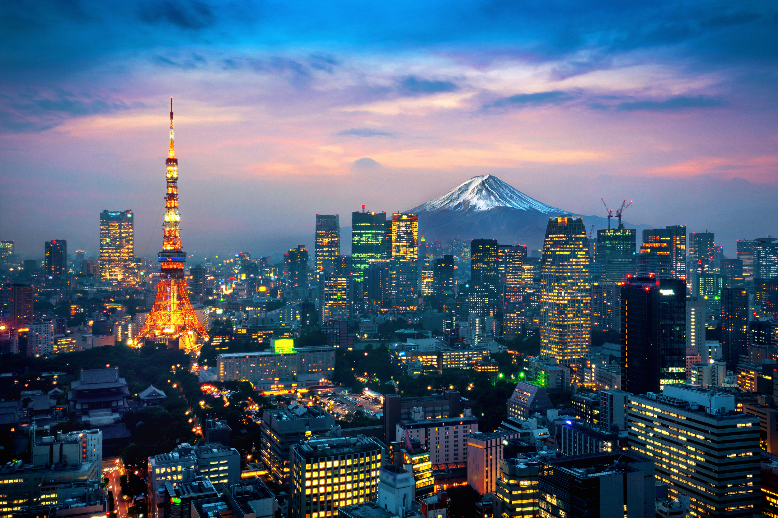 International Collaboration in Japan