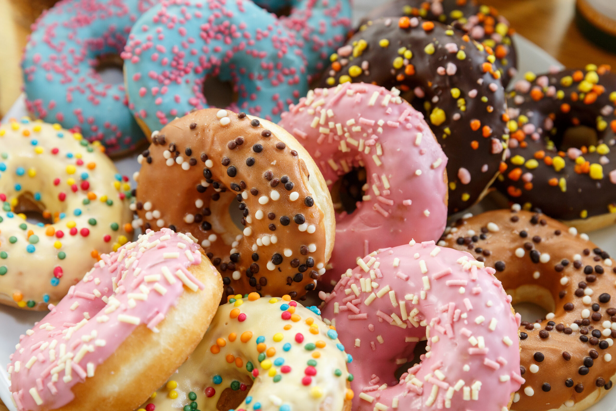FREE DONUTS and Grant Support