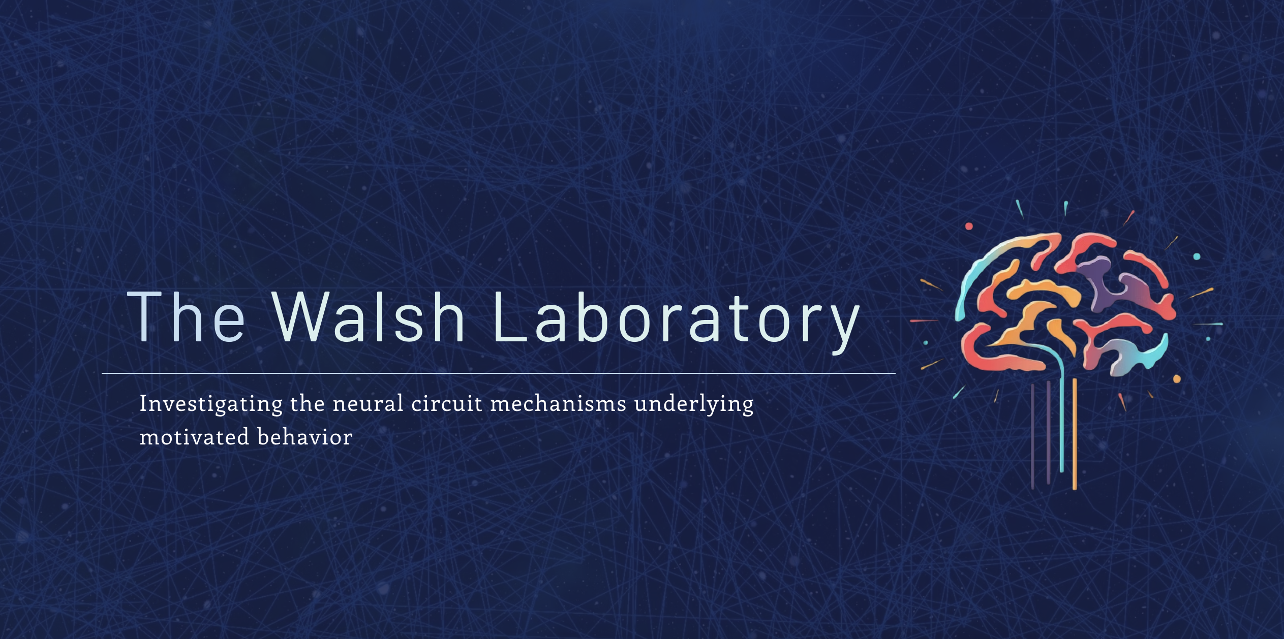 Walsh Lab: Open Lab Event